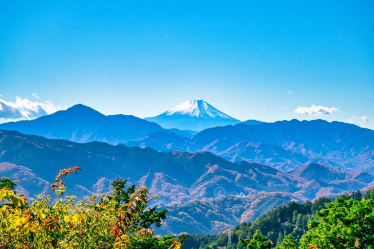 緑のトンネルを抜けて。天狗の山・高尾山ウォーキング体験レポート
